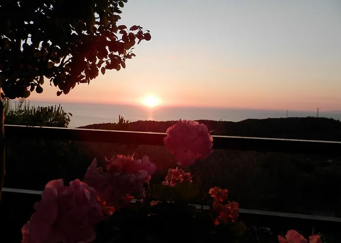 Green Villa 4* Áyios Nikítas